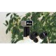 Camera profesionala microscop 10Mpx Color  USB 3.0   C-mount   Senzor Sony Exmor 2/3